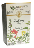 Bilberry Leaf Tea (Organic) - 24 Tea Bags