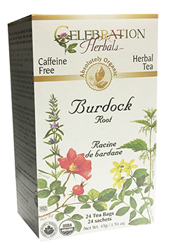 Burdock Root Tea (Organic) - 24 Tea Bags