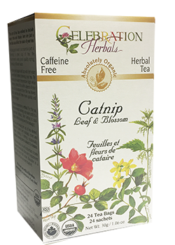 Catnip Leaf & Blossom Tea (Organic) - 24 Tea Bags