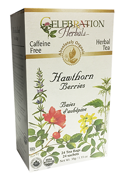 Hawthorn Berries Tea (Organic) - 24 Tea Bags