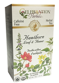 Hawthorn Leaf & Flower Tea (Organic) - 24 Tea Bags