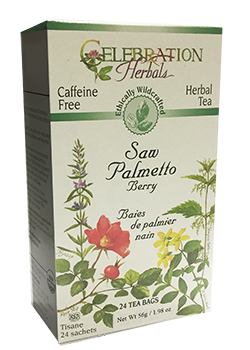 Saw Palmetto Tea (Wildcrafted) - 24 Tea Bags