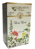 Uva Ursi Tea (Organic) - 24 Tea Bags