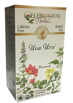 Uva Ursi Tea (Organic) - 24 Tea Bags