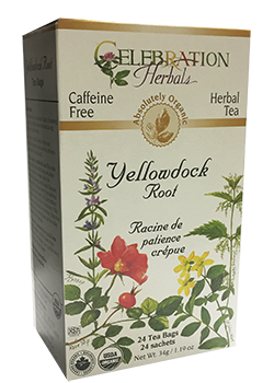 Yellowdock Root Tea (Organic) - 24 Tea Bags