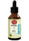 Tradition Gotu Kola Tincture (Organic) - 50ml