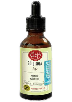 Tradition Gotu Kola Tincture (Organic) - 50ml