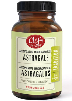 Tradition Astragalus 280mg (Organic) - 85 Caps