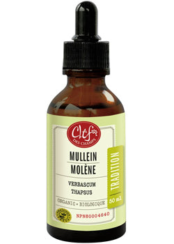 Tradition Mullein Tincture (Organic) - 50ml