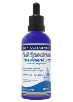 Concentrace Trace Mineral Drops - 100ml + BONUS