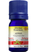 Ajowan Oil (Organic) - 5ml