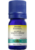 Allspice Oil - 5ml