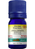 Ammi Visnaga Oil (Khella, Organic) - 5ml