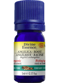 Angelica Root Oil (Organic) - 5ml