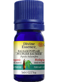 Balsam Poplar Oil (Organic) - 5ml