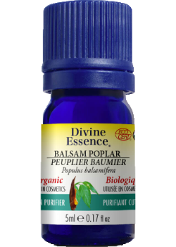 Balsam Poplar Oil (Organic) - 5ml