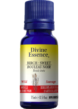 Birch Sweet Oil (Wild) - 15ml