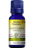 Cajuput Oil (Cajeput, Organic) - 15ml