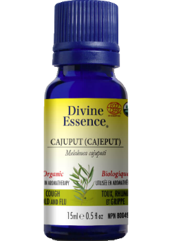 Cajuput Oil (Cajeput, Organic) - 15ml