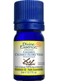 Calamus Oil (Organic) - 5ml