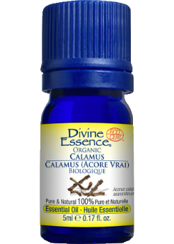 Calamus Oil (Organic) - 5ml