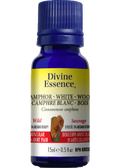 Camphor Wood Oil (White, Wild) - 15ml