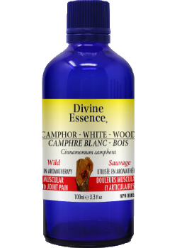 Camphor Wood Oil (White, Wild) - 100ml