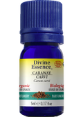 Caraway Oil (Organic) - 5ml