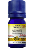 Cardamom Oil (Organic) - 5ml