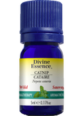 Catnip Oil (Wild) - 5ml