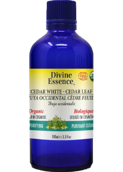 Cedar Leaf Oil (White, Organic) - 100ml