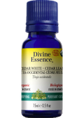 Cedar Leaf Oil (White, Organic) - 15ml