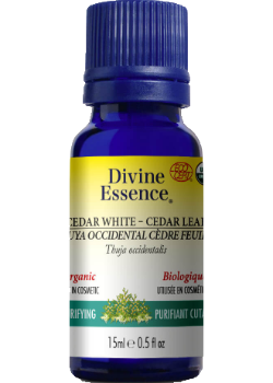 Cedar Leaf Oil (White, Organic) - 15ml