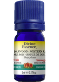 Cedarwood Oil (Western Red, Wild) - 5ml