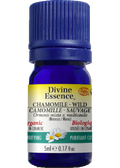 Chamomile Oil (Wild Morocco, Organic) - 5ml