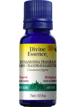 Cinnamosma Fragrans Oil (Saro, Organic) - 15ml
