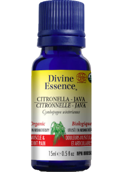 Citronella Oil (Java, Organic) - 15ml