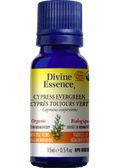Cypress Oil (Evergreen, Organic) - 15ml
