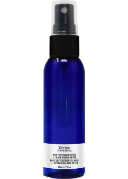 DIY Empty Spray Bottle (Blue Plastic) - 60ml
