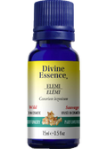 Elemi Oil (Wild) - 15ml