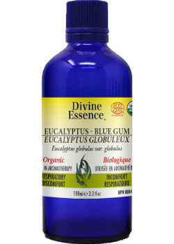 Eucalyptus Oil (Blue Gum, Organic) - 100ml