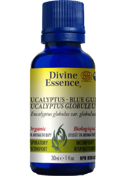 Eucalyptus Oil (Blue Gum, Organic) - 30ml