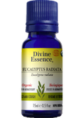 Eucalyptus Oil (Radiata, Organic) - 15ml