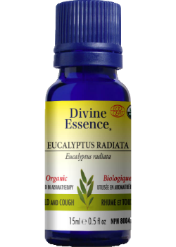 Eucalyptus Oil (Radiata, Organic) - 15ml