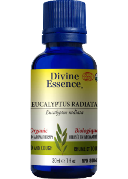 Eucalyptus Oil (Radiata, Organic) - 30ml