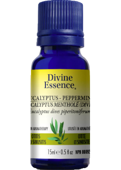 Eucalyptus Peppermint Oil - 15ml
