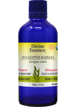 Eucalyptus (Radiata, Organic) - 100ml
