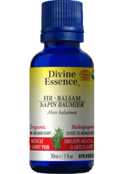 Fir Oil (Balsam, Organic) - 30ml
