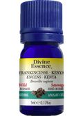 Frankincense Kenya Oil (Boswellia Neglecta, Wild) - 5ml
