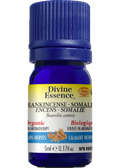 Frankincense Somalia Oil (Boswellia Carterii, Organic) - 5ml